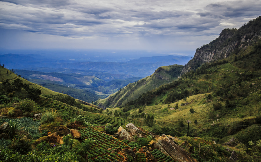 Ohiya Sri Lanka Travel Partner