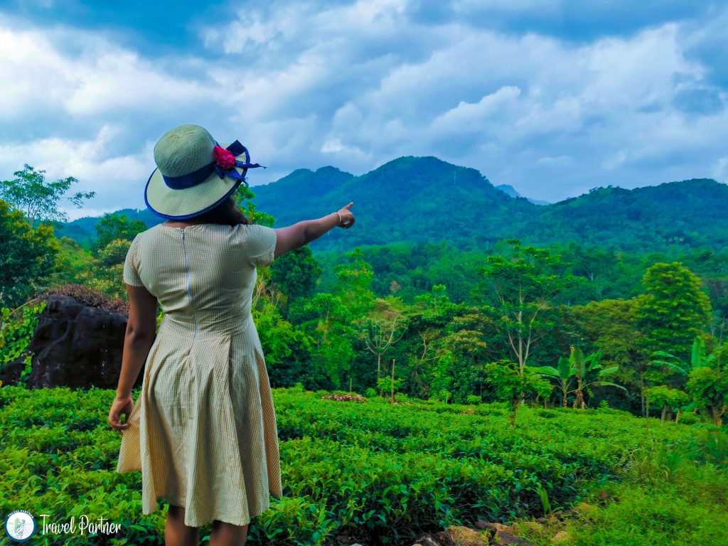 Finding a good travel partner