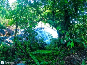 Dodam Ella Sri Lanka - Kuruwita