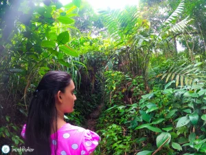 Travel Girl